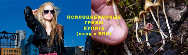 mdpv Инсар