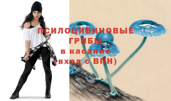 mdpv Инсар