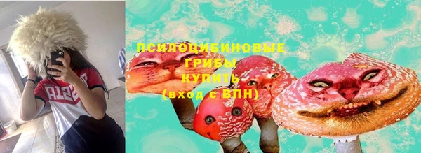 mdpv Инсар