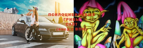 mdpv Инсар